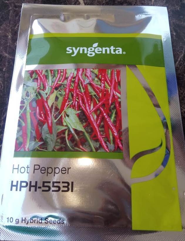 HPH 5531- 1500 Seeds
